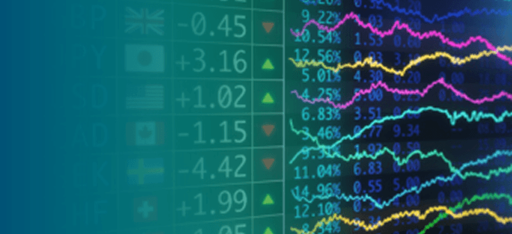 Foreign exchange & interest rate risk