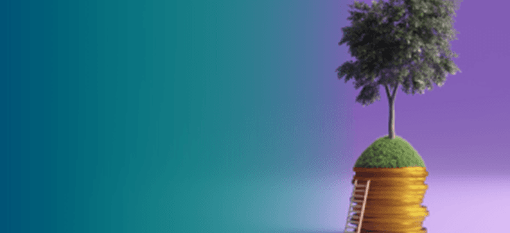 Treasury operations & sustainability